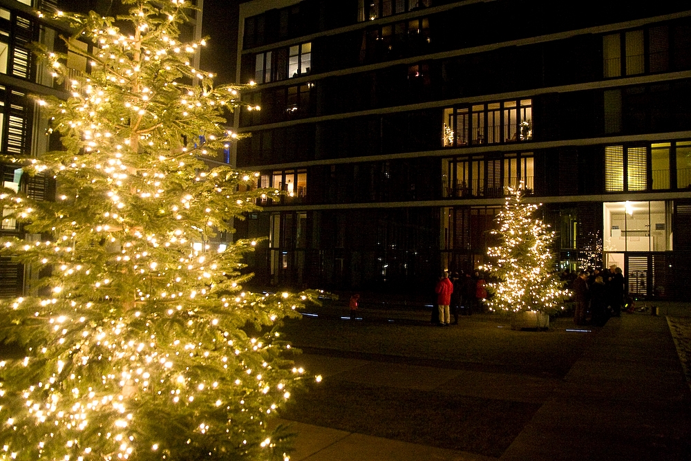 Schöne Weihnachtsbäume gibt es Viewpoint und im Innenhof von Bergedorf-Bille