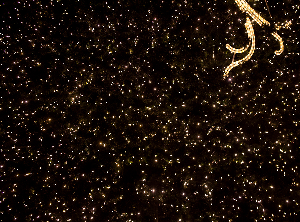 Tausende von LED illuminieren den Weihnachtsbaum