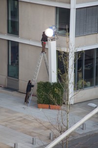 Schon mal nachgesehen? Sind die Blätter noch echt in der HafenCity?