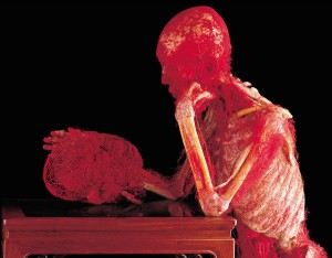 Zum Innehalten soll „Der Denker“ den Betrachter einladen.  Copyright: Gunther von Hagens‘ KÖRPERWELTEN, Institut für Plastination, Heidelberg, www.koerperwelten.de   