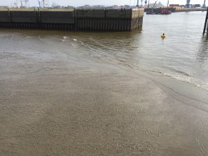 Ursprünglich mal ein seeschifftiefes Hafenbecken - nun eher Watt bei Niedrigwasser