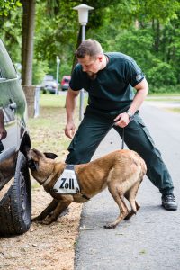 Spürhund bei der Arbeit