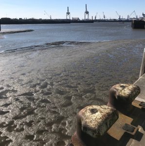 Wattenmeer in der HafenCity – Elbe bei Niedrigwasser (Foto: J. Munzinger)