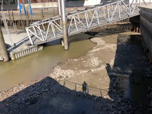 Leergelaufene Hafenbecken: Erheblicher Materialstress für Pontons und Brücken (Foto: MB)