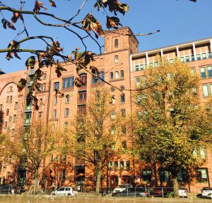 Dies könnte ein lauschiges Plätzchen sein, Lindenbäume in der Speicherstadt (Foto: J. Munzinger)